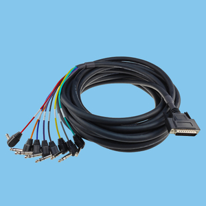 D-SUB 25P to 6.5MM-8P Dual Pass Audio Header