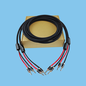 hifi audio main speaker cable amplifier speaker speaker cable