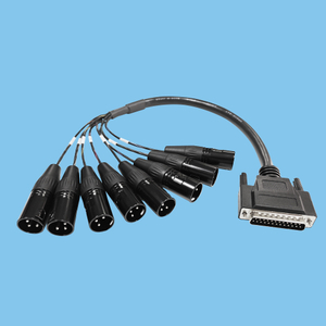 D-suB 25 pin revolution 8P XLR male